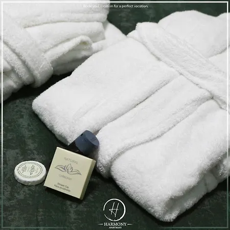 Harmony - トゥズラ